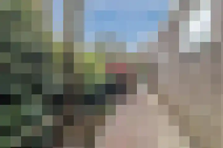 Gerrit Kasteinweg 12 Den Haag thumbnail 60
