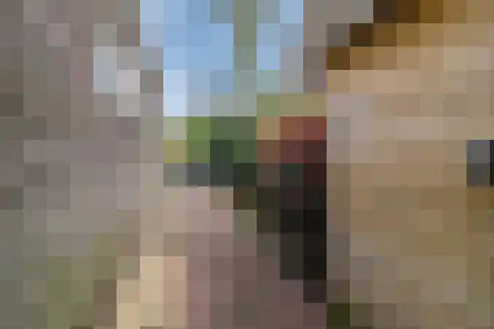 Gerrit Kasteinweg 12 Den Haag thumbnail 61