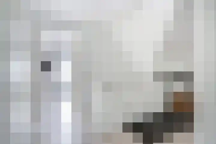 Gerrit Klokstraat 22 Kraggenburg thumbnail 17