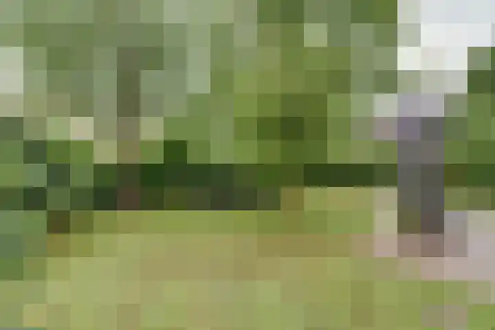 Gerrit Klokstraat 22 Kraggenburg thumbnail 37