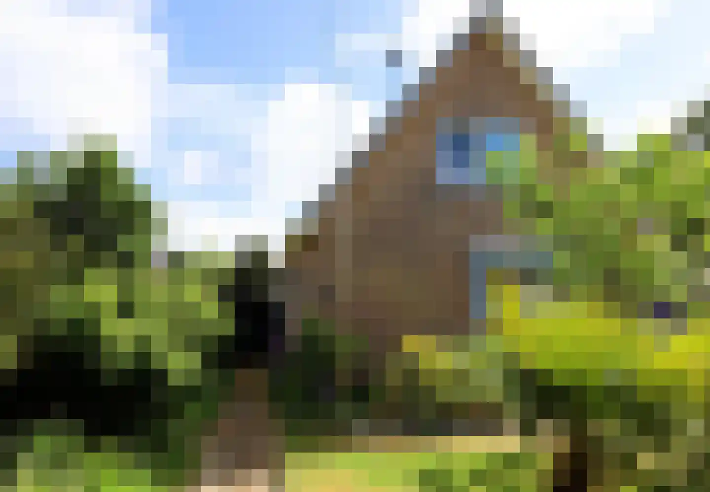 Gerrit Knoplaan 10 West-Terschelling thumbnail 36