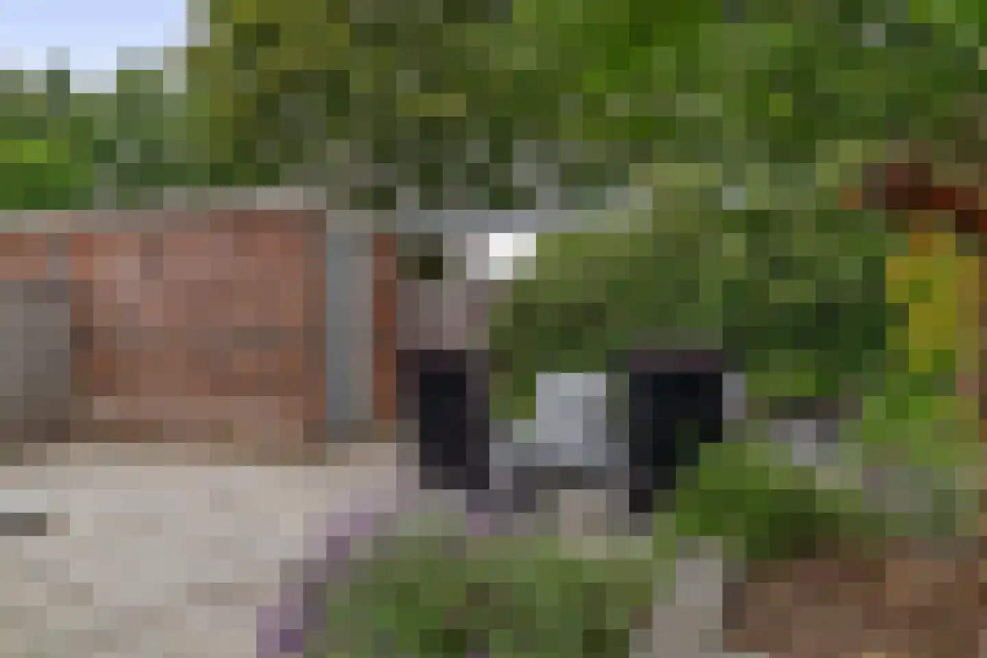 Gerrit Kögelerstraat 74 Zwijndrecht thumbnail 19