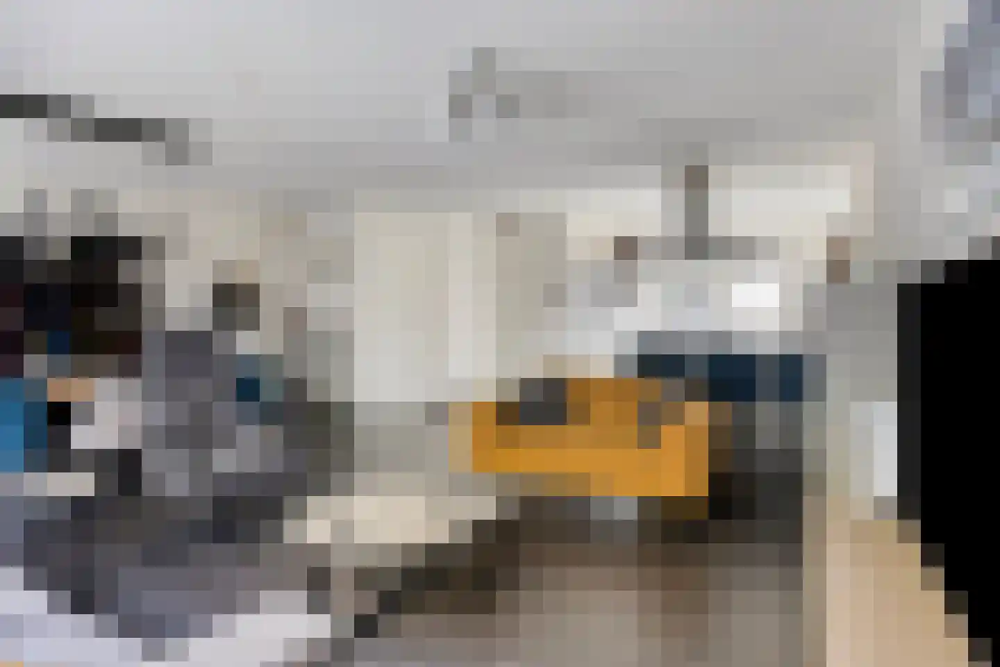 Gerrit Kögelerstraat 74 Zwijndrecht thumbnail 8