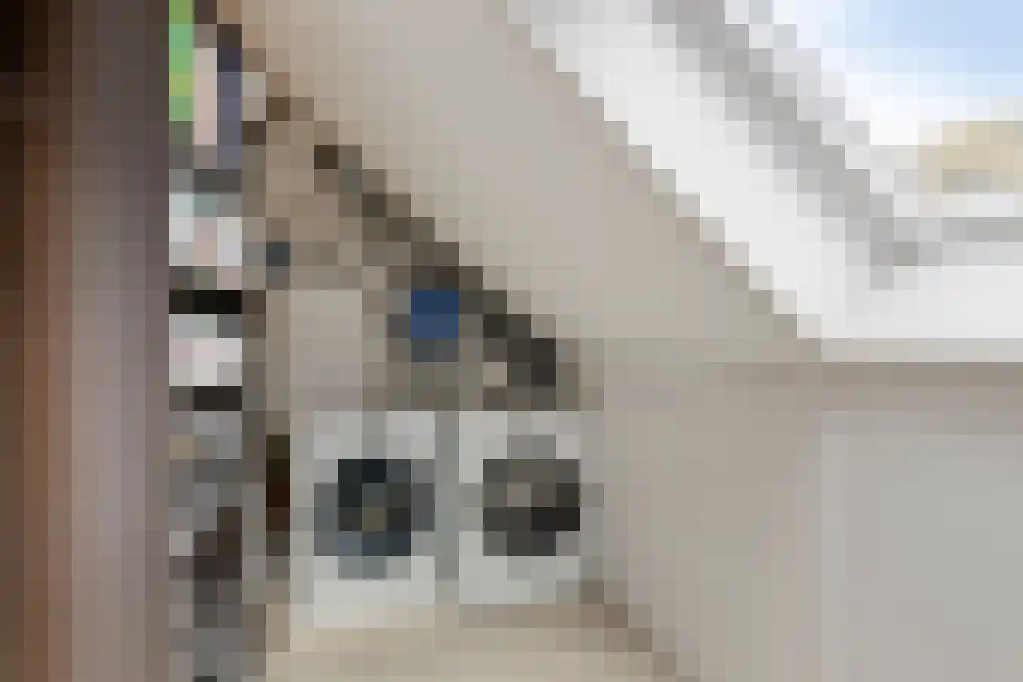 Gerrit Köhnestraat 5 Zuidoostbeemster thumbnail 26