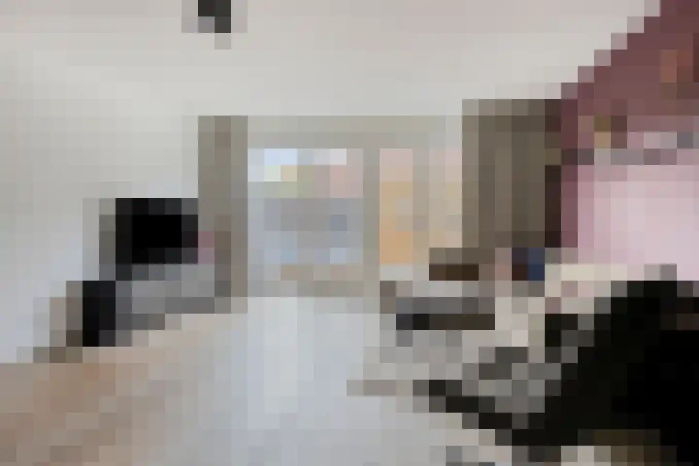 Gerrit Köhnestraat 5 Zuidoostbeemster thumbnail 6