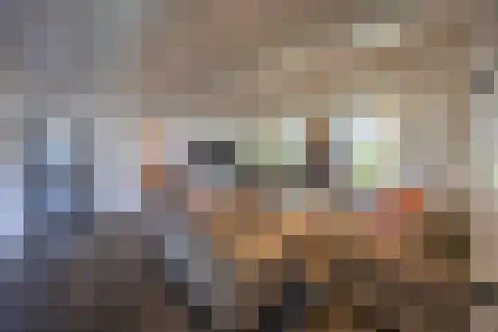 Gerrit Kosterweg 13 Ballum thumbnail 13