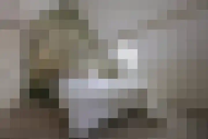 Gerrit Kosterweg 13 Ballum thumbnail 16
