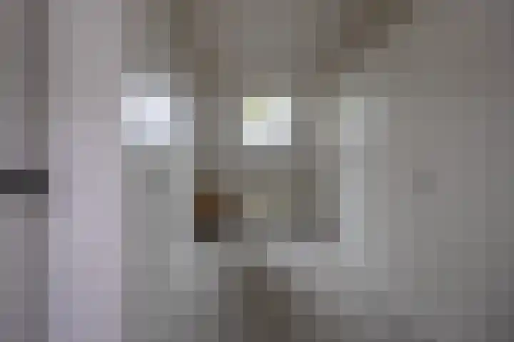 Gerrit Kosterweg 13 Ballum thumbnail 19