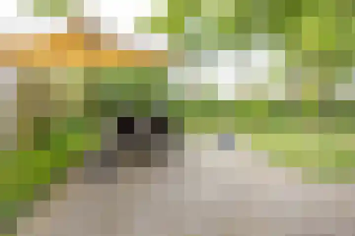 Gerrit Kosterweg 13 Ballum thumbnail 24