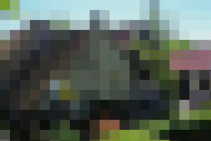 Gerrit Kosterweg 13 Ballum thumbnail 26