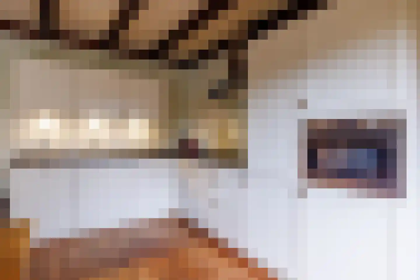 Gerrit Kosterweg 3 Ballum thumbnail 10