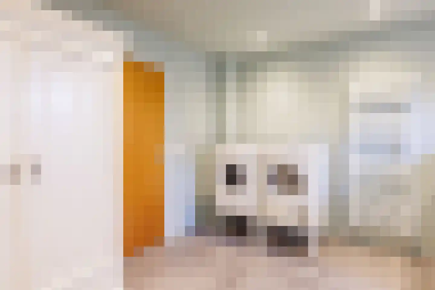 Gerrit Kosterweg 3 Ballum thumbnail 19