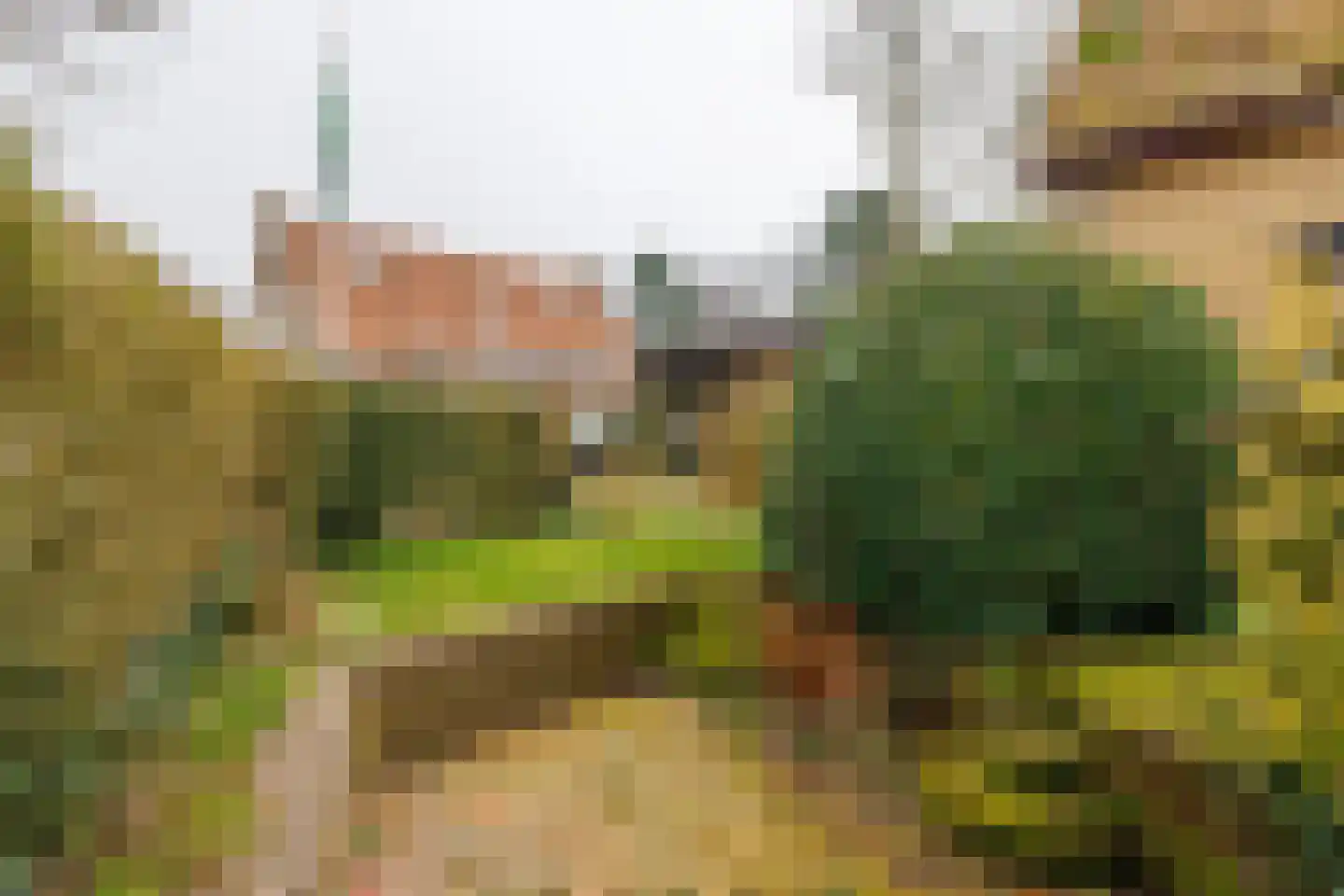 Gerrit Kosterweg 3 Ballum thumbnail 36