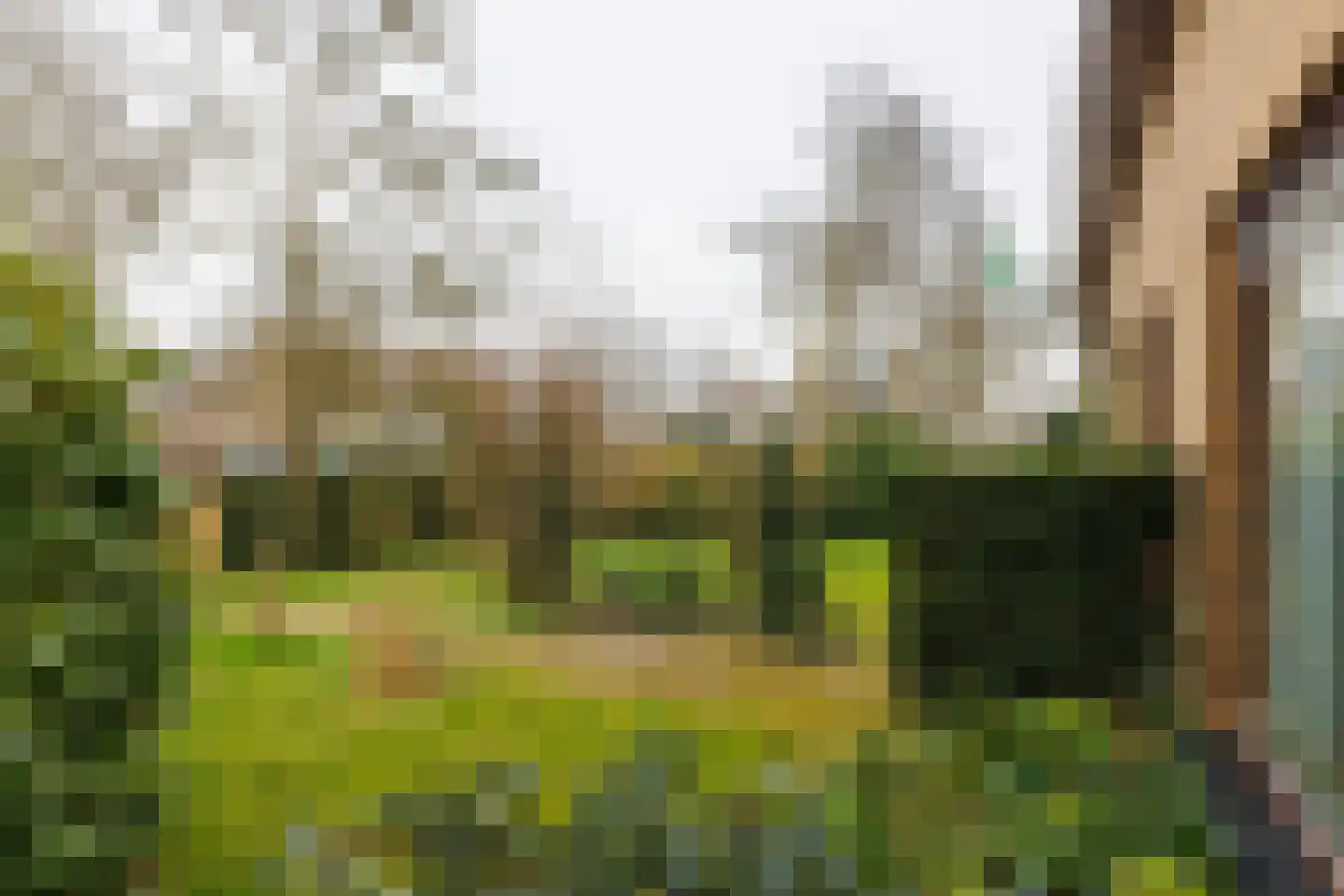 Gerrit Kosterweg 3 Ballum thumbnail 40