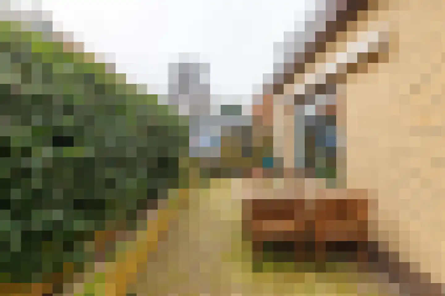 Gerrit Kosterweg 3 Ballum thumbnail 43