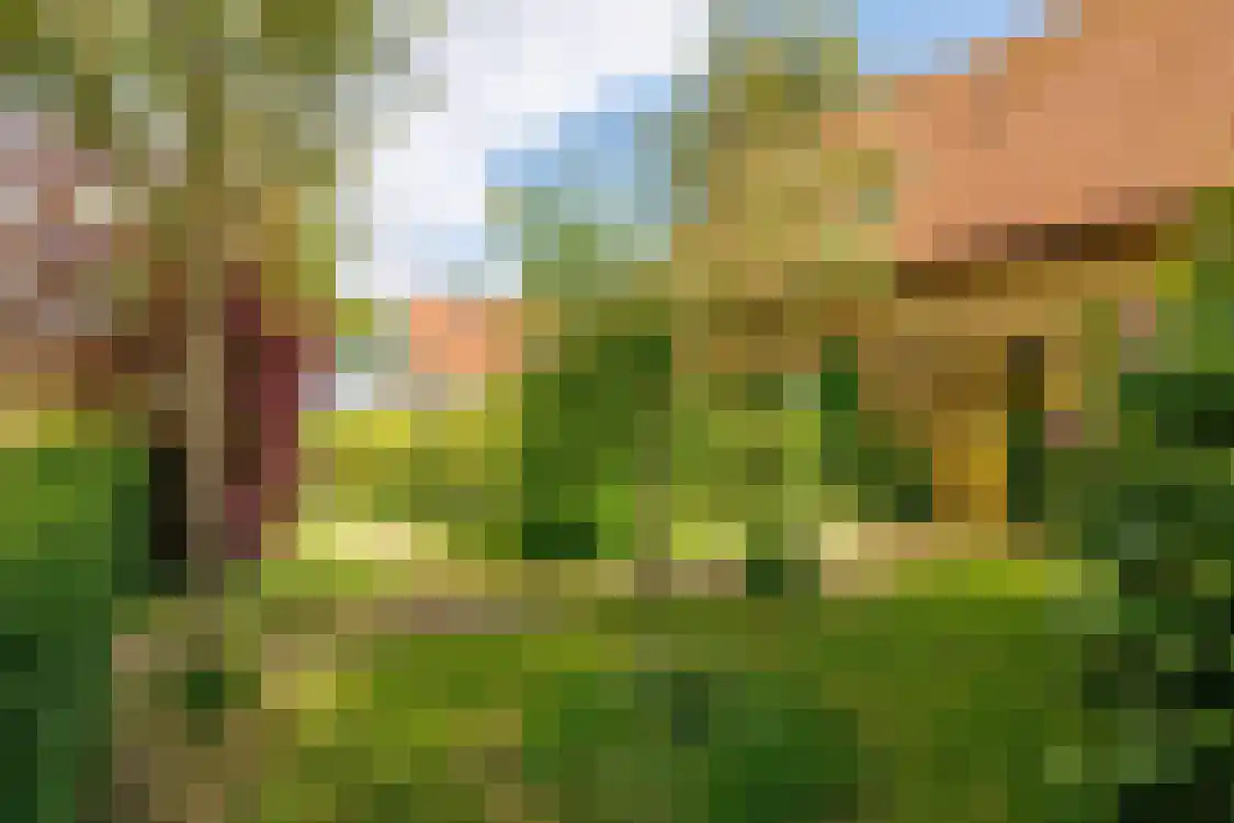 Gerrit Kosterweg 3 Ballum thumbnail 44