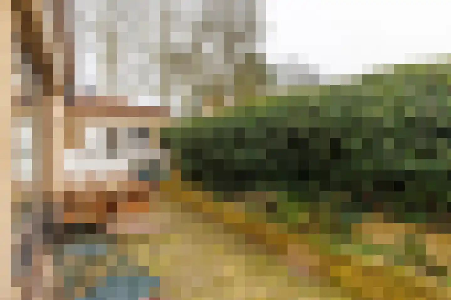 Gerrit Kosterweg 3 Ballum thumbnail 45