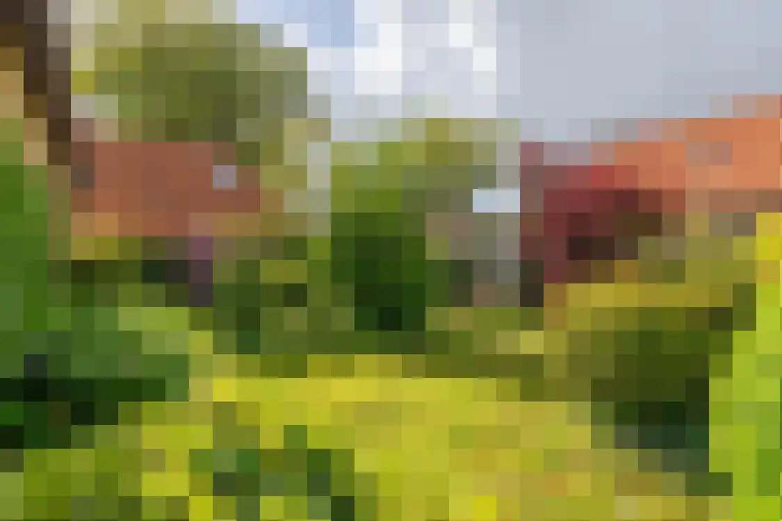 Gerrit Kosterweg 3 Ballum thumbnail 50