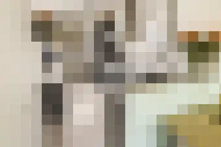 Gerrit Mannourystraat 17 Amsterdam thumbnail 12