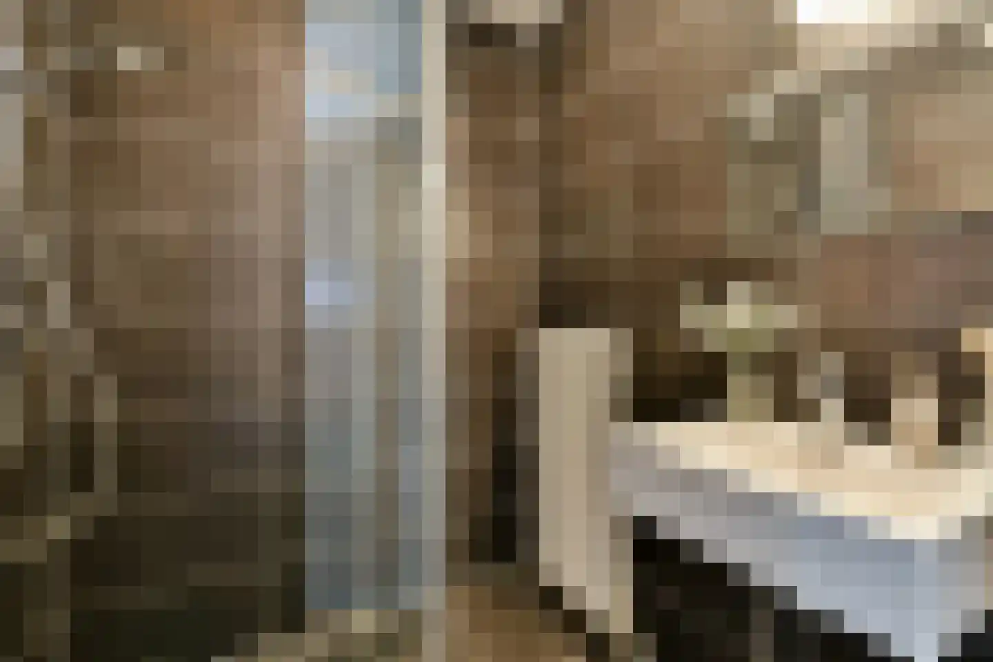 Gerrit Mannourystraat 41 Amsterdam thumbnail 14