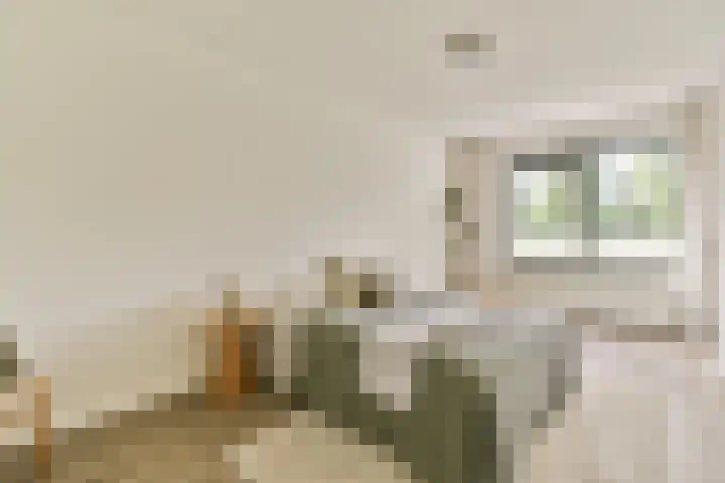 Gerrit Mannourystraat 41 Amsterdam thumbnail 8