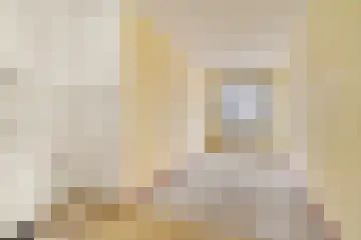 Gerrit Mannourystraat 70 Amsterdam thumbnail 11
