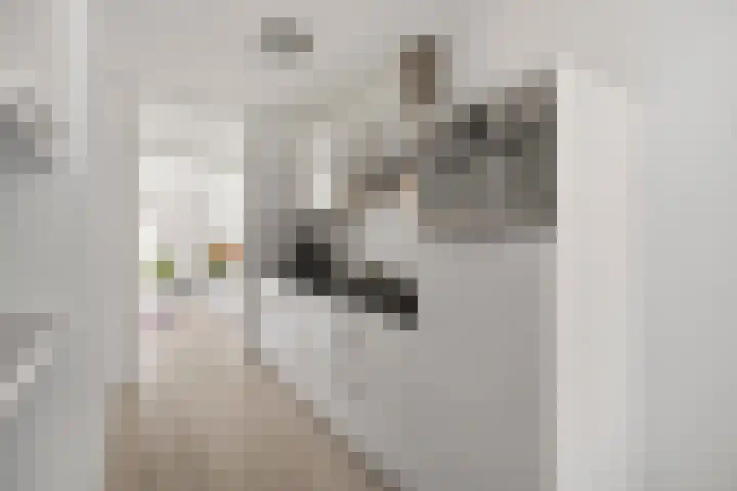 Gerrit Mannourystraat 78 Amsterdam thumbnail 11