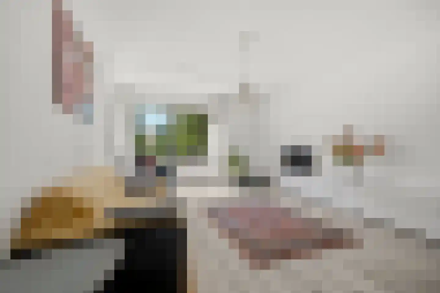 Gerrit Mannourystraat 78 Amsterdam thumbnail 6