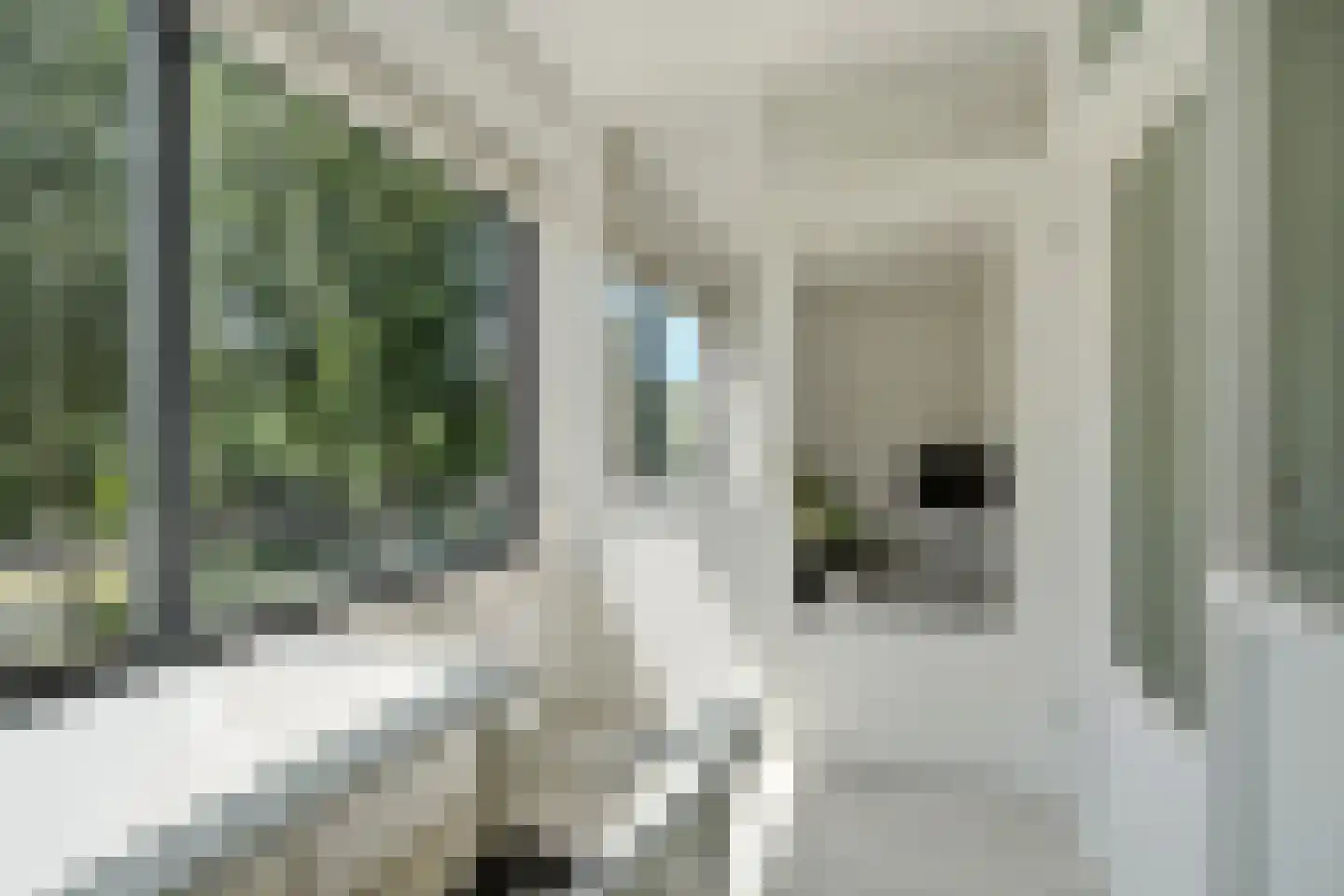 Gerrit Mannourystraat 78 Amsterdam thumbnail 9