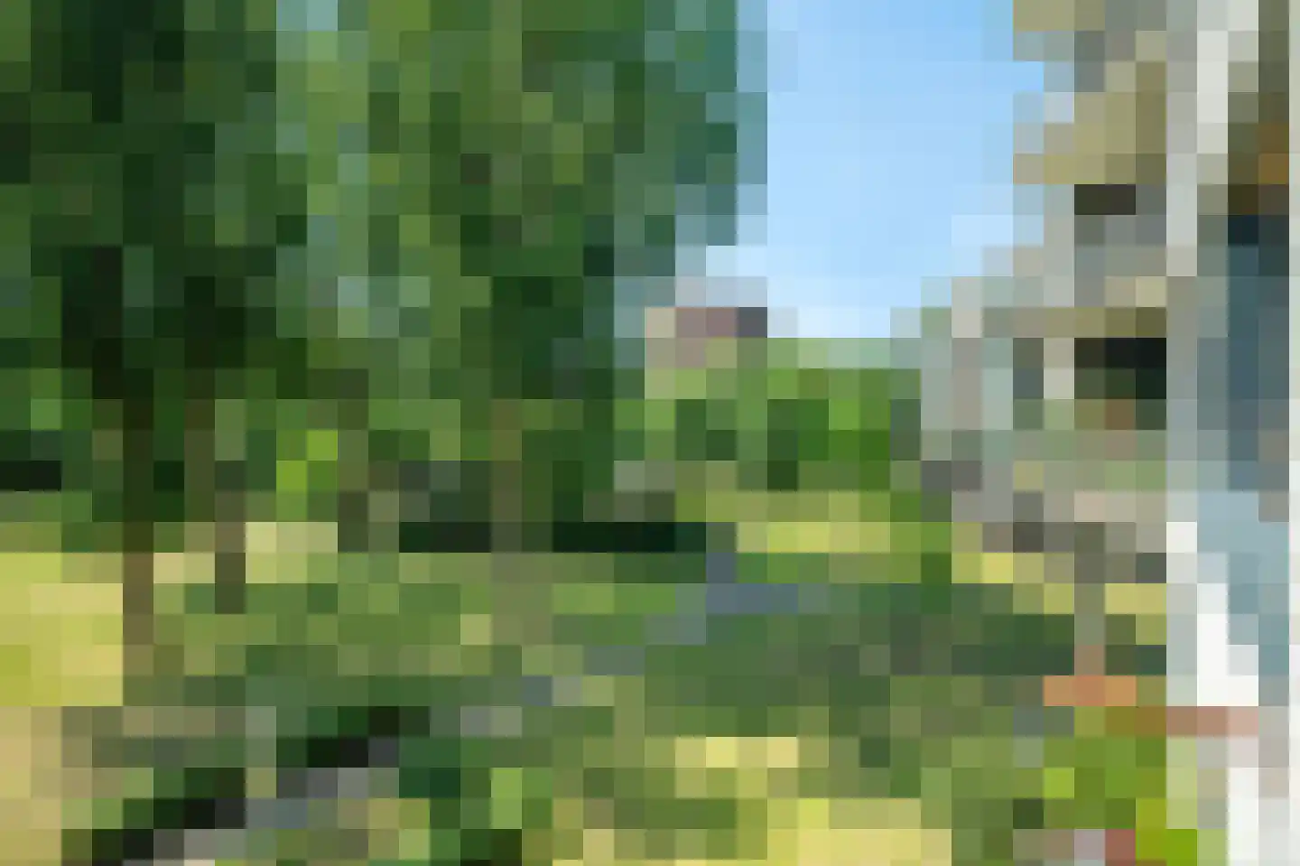 Gerrit Mannourystraat 81 Amsterdam thumbnail 9