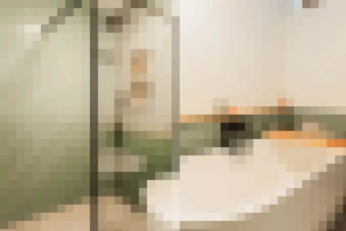 Gerrit Mannourystraat 94 Amsterdam thumbnail 21