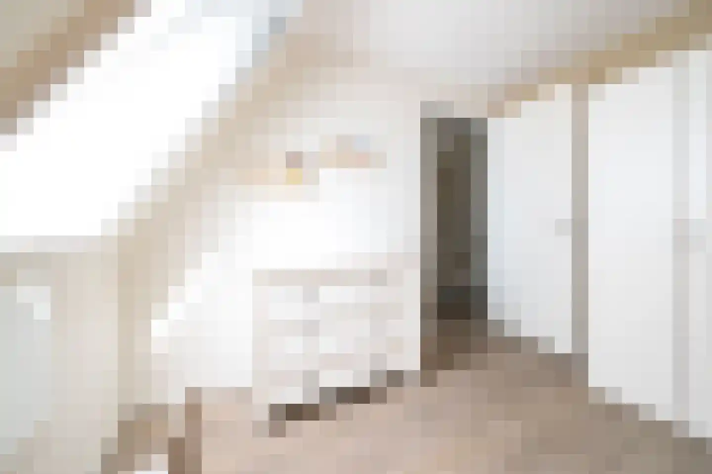 Gerrit Mouwweg 24 Elspeet thumbnail 22