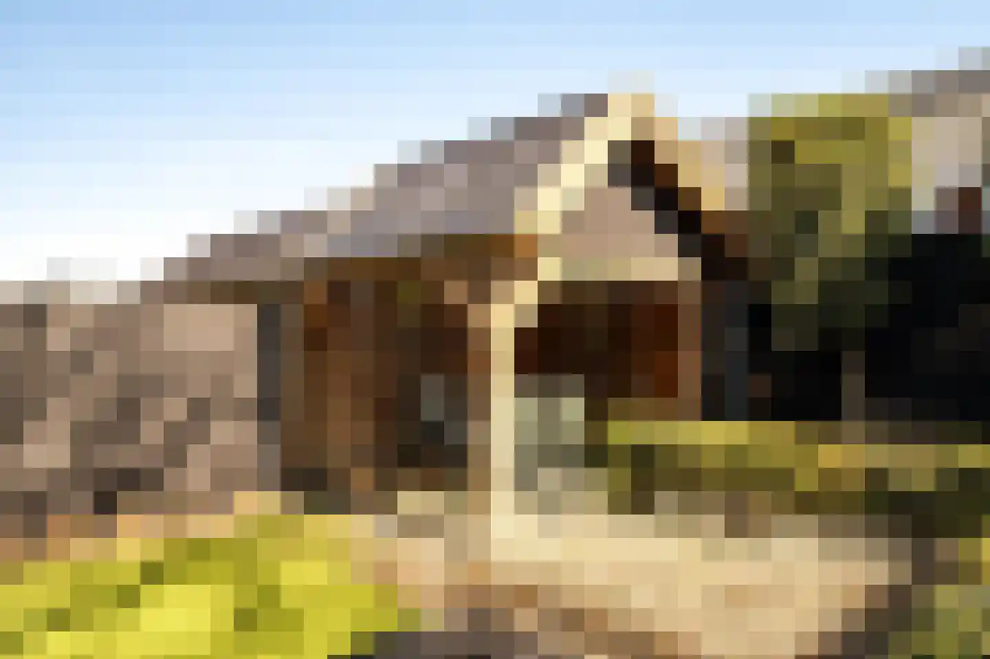 Gerrit Mouwweg 24 Elspeet thumbnail 35