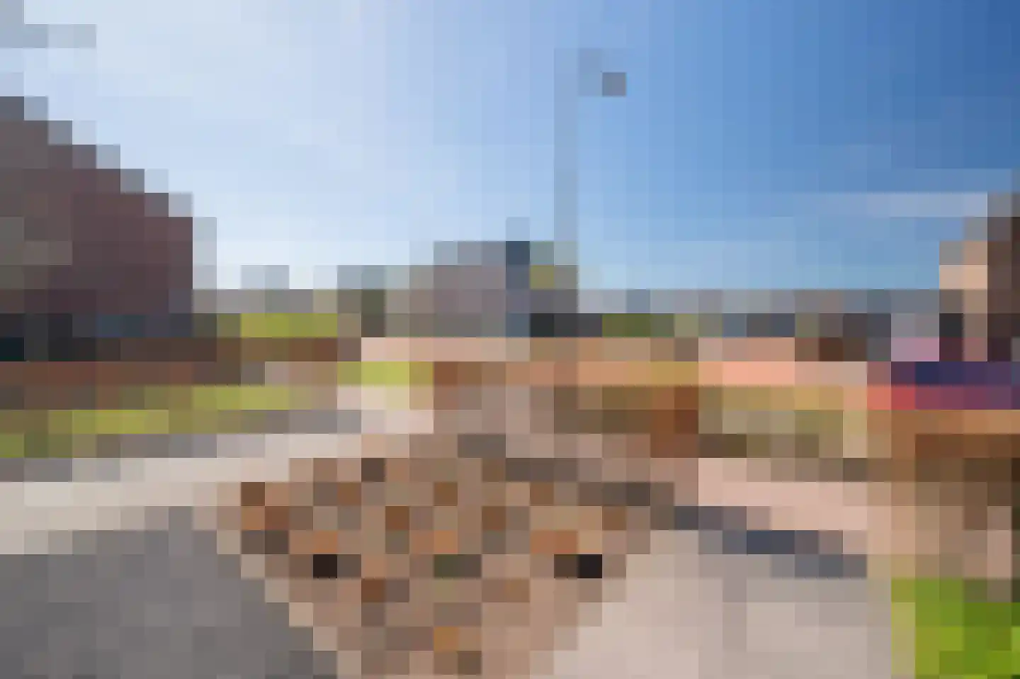 Gerrit Mouwweg 24 Elspeet thumbnail 5