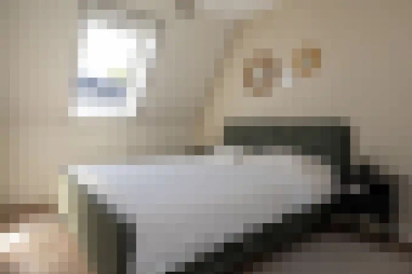 Gerrit Mouwweg 28 Elspeet thumbnail 23