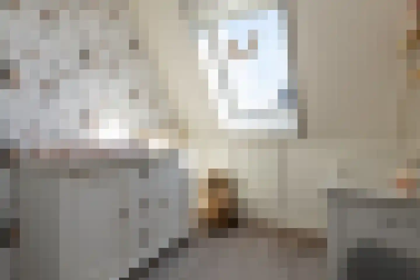 Gerrit Mouwweg 28 Elspeet thumbnail 30