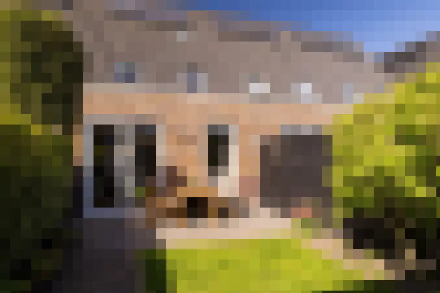 Gerrit Mouwweg 28 Elspeet thumbnail 4