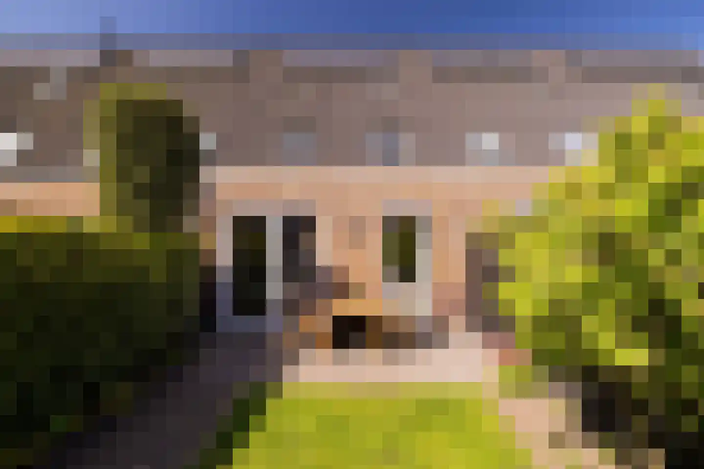 Gerrit Mouwweg 28 Elspeet thumbnail 8