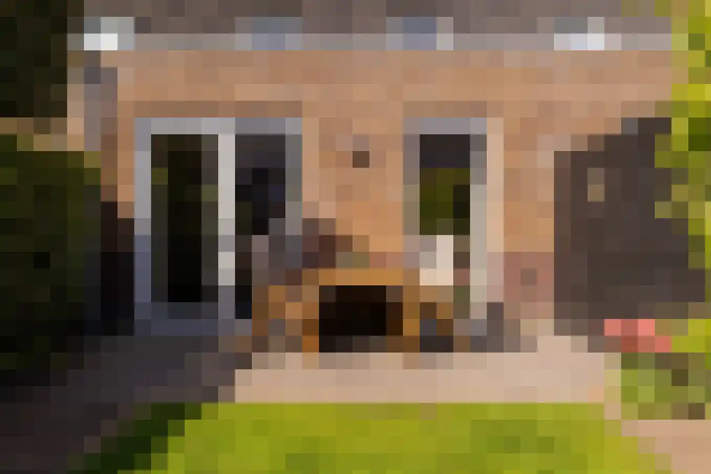 Gerrit Mouwweg 28 Elspeet thumbnail 9