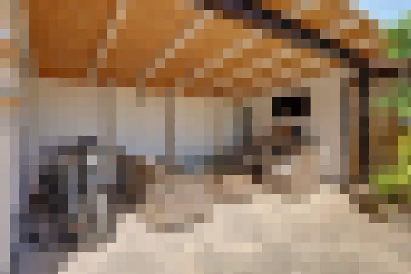 Gerrit Naefflaan 29 Lochem thumbnail 28