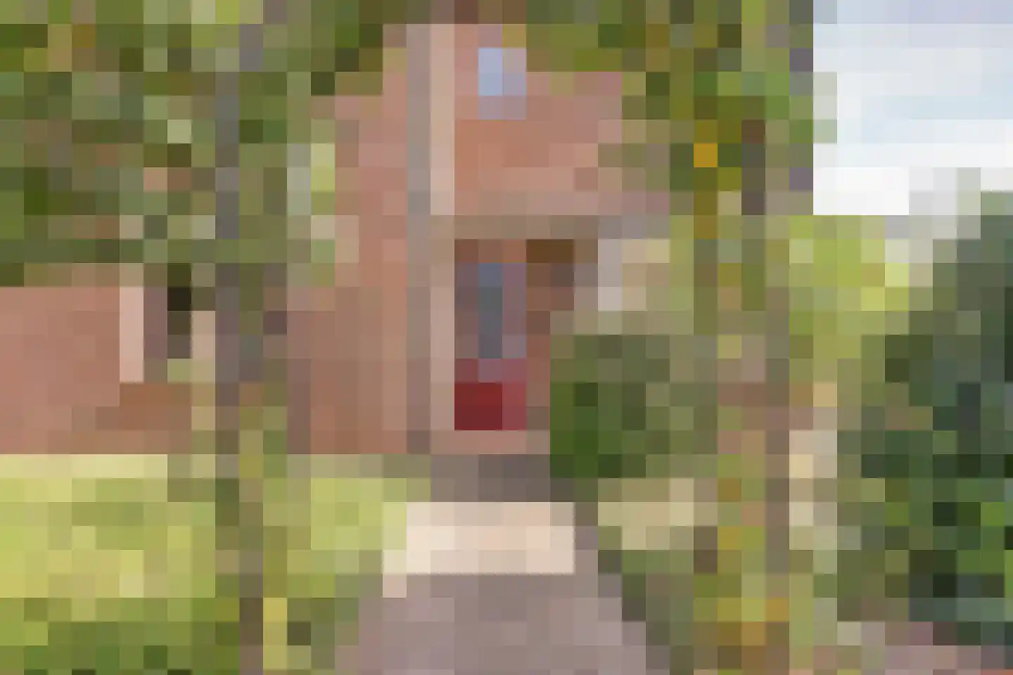 Gerrit Naefflaan 29 Lochem thumbnail 31