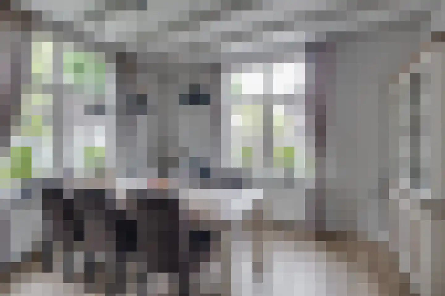 Gerrit Naefflaan 29 Lochem thumbnail 8