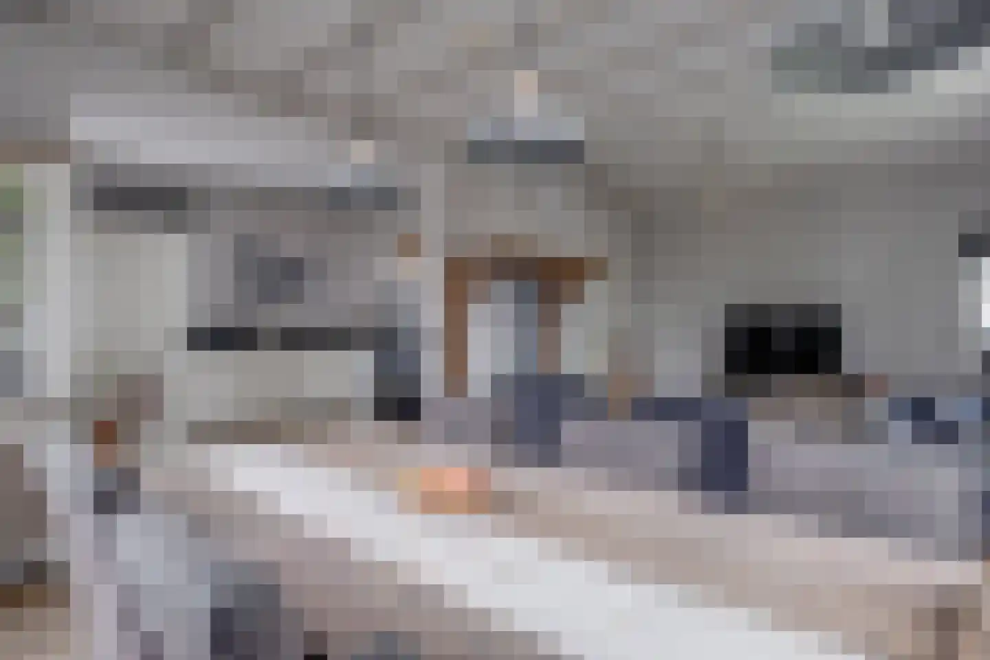 Gerrit Naefflaan 29 Lochem thumbnail 9