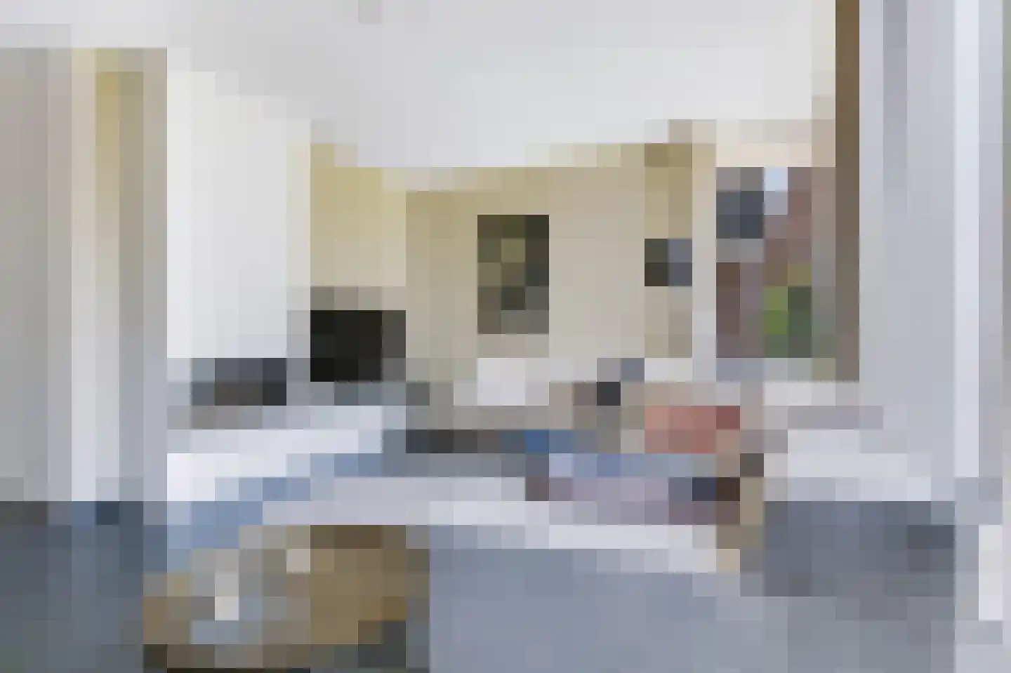 Gerrit Palmlaan 33 Ugchelen thumbnail 15