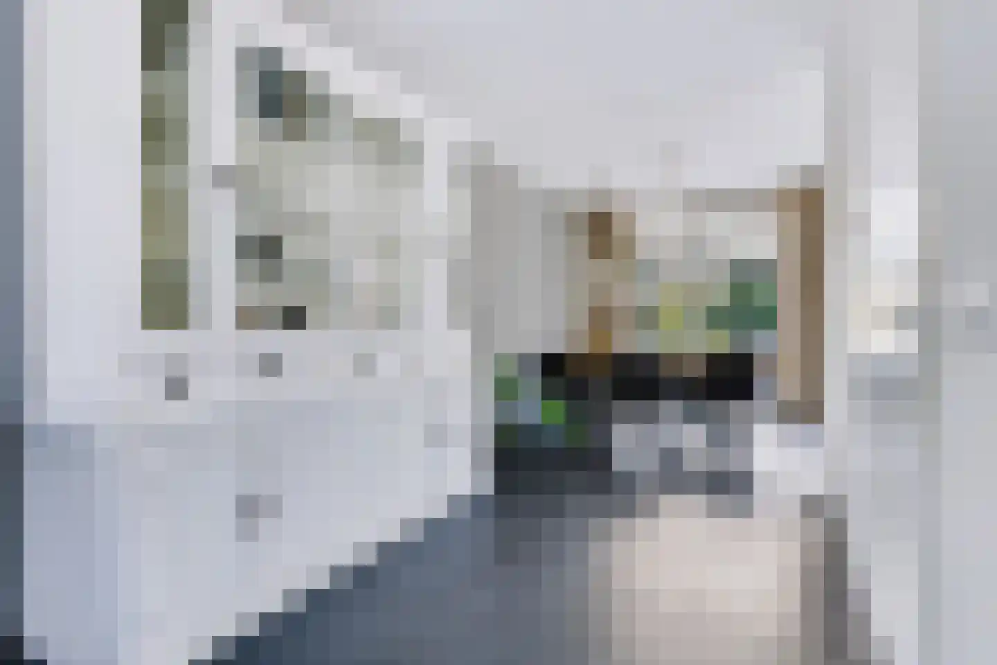 Gerrit Palmlaan 33 Ugchelen thumbnail 19