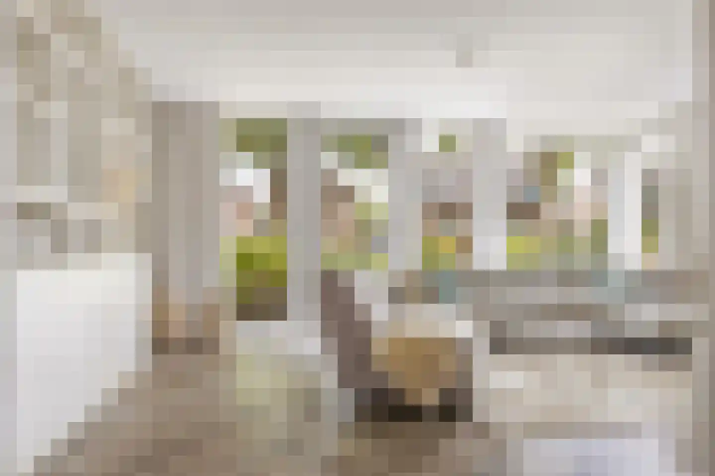 Gerrit Palmlaan 47 Ugchelen thumbnail 10
