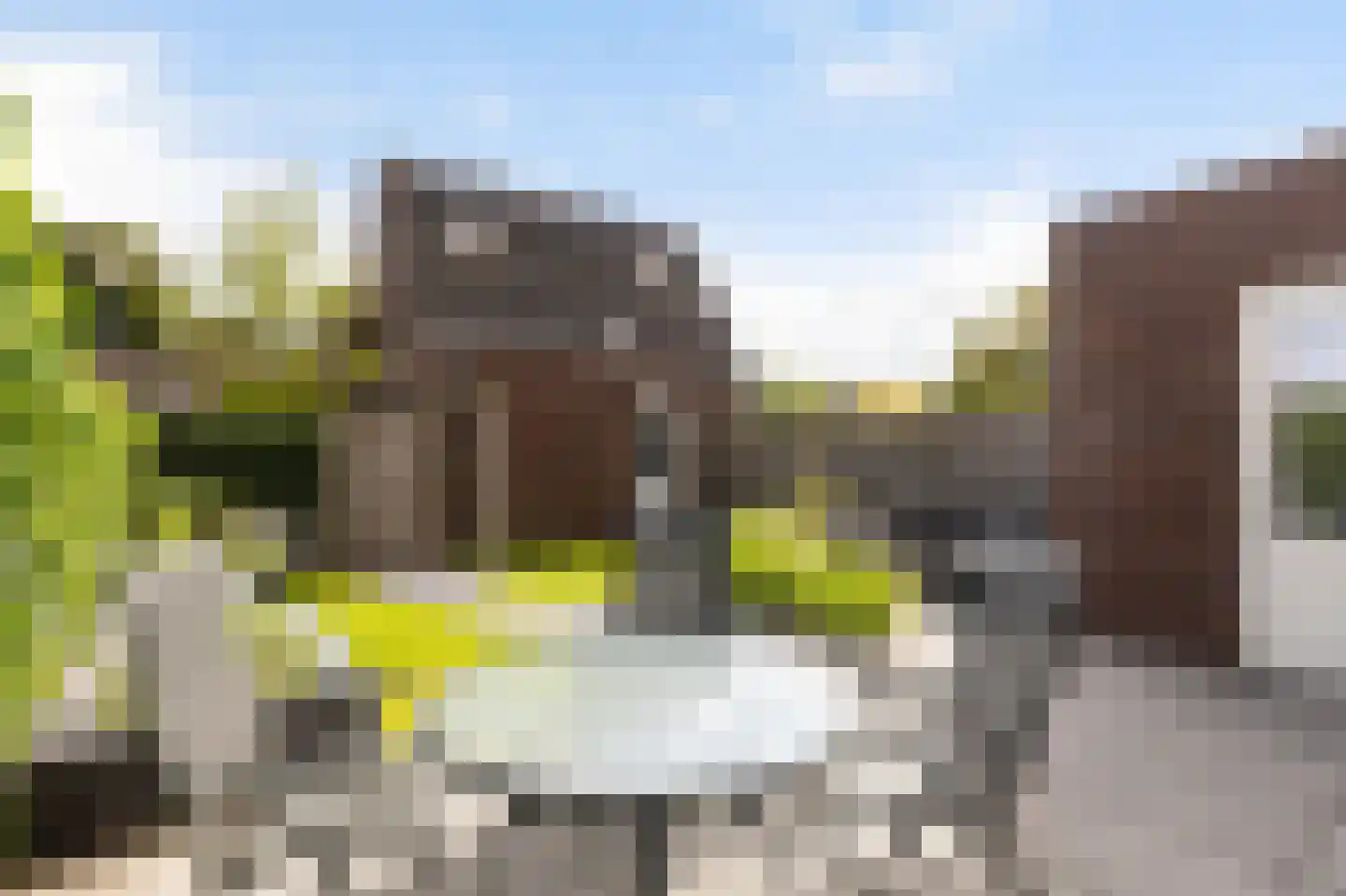 Gerrit Palmlaan 47 Ugchelen thumbnail 49