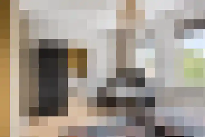Gerrit Palmlaan 8 Ugchelen thumbnail 17