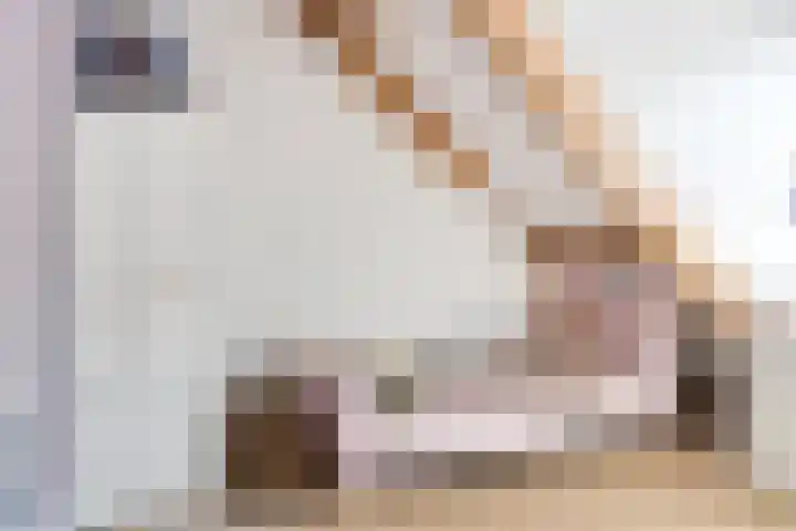 Gerrit Palmlaan 8 Ugchelen thumbnail 25