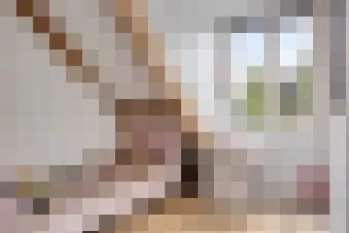 Gerrit Palmlaan 8 Ugchelen thumbnail 26